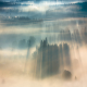 Illustration for article titled Forests, fog and light make these long-exposure photographs look like paintings